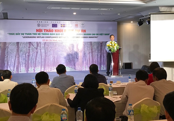 Thúc đẩy gỗ hợp pháp trong ngành cao su 