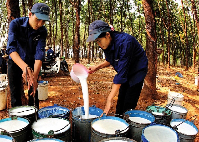 Tập đoàn Cao su tham vọng mở rộng sản xuất săm lốp