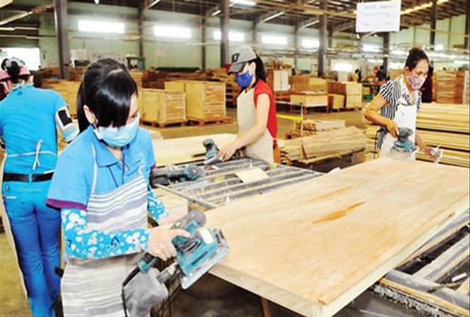 Rủi ro lớn với ngành gỗ Việt Nam
