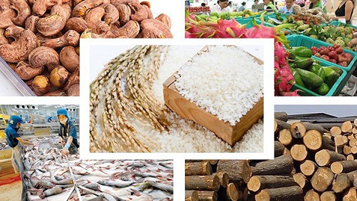 Khiếm khuyết của ngành nông nghiệp bộc lộ nhiều qua dịch Covid-19 
