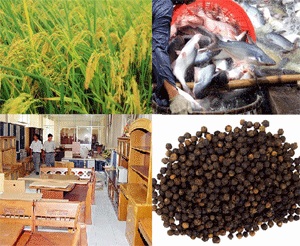 Đẩy mạnh thương mại nông sản Việt Nam - Hoa Kỳ