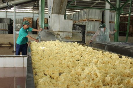Chủ động xây dựng 3 kịch bản ứng phó