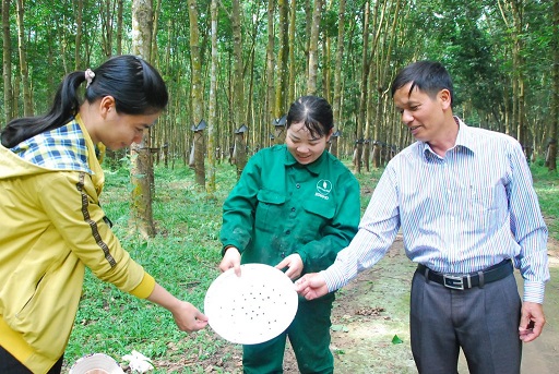 Một lòng với nghề