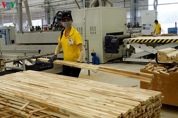 Giấy phép gỗ hợp pháp-hiện thực hóa con đường vào thị trường EU