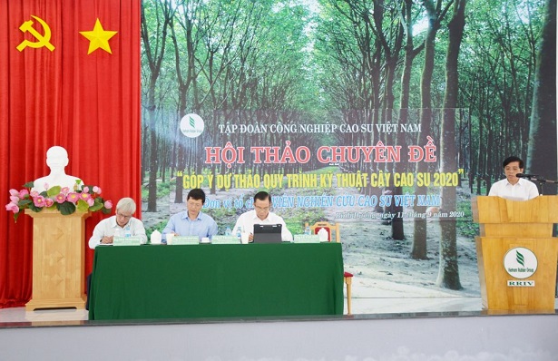 Quy trình kỹ thuật cây cao su năm 2020 sẽ ban hành vào tháng 10