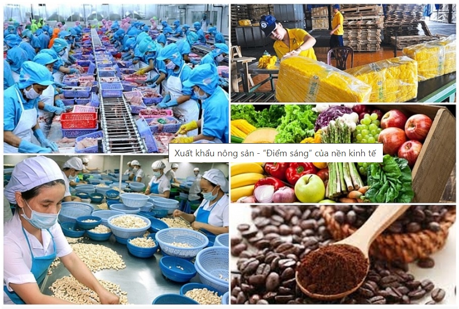 Xuất khẩu nông sản - “Điểm sáng” của nền kinh tế