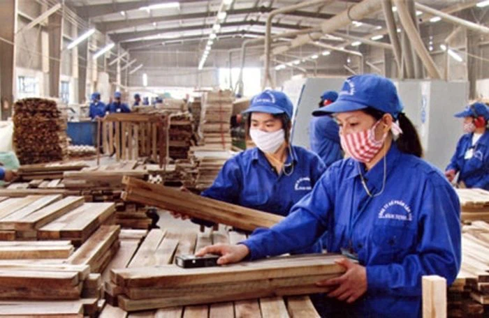 Gỗ Trường Thành lỗ quý thứ hai liên tiếp