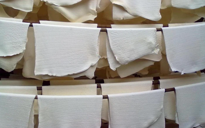 Giá cao su tăng trở lại khi kinh tế Trung Quốc được kỳ vọng phục hồi