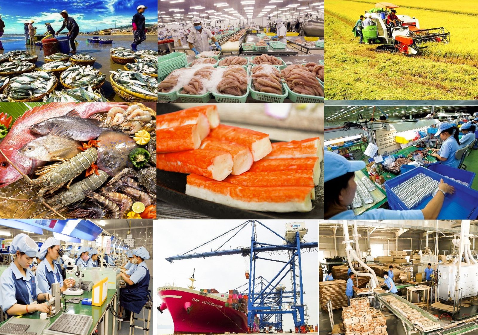 Nhiều ngành hàng tiêu dùng tiếp tục tận dụng tốt ưu đãi từ Hiệp định EVFTA