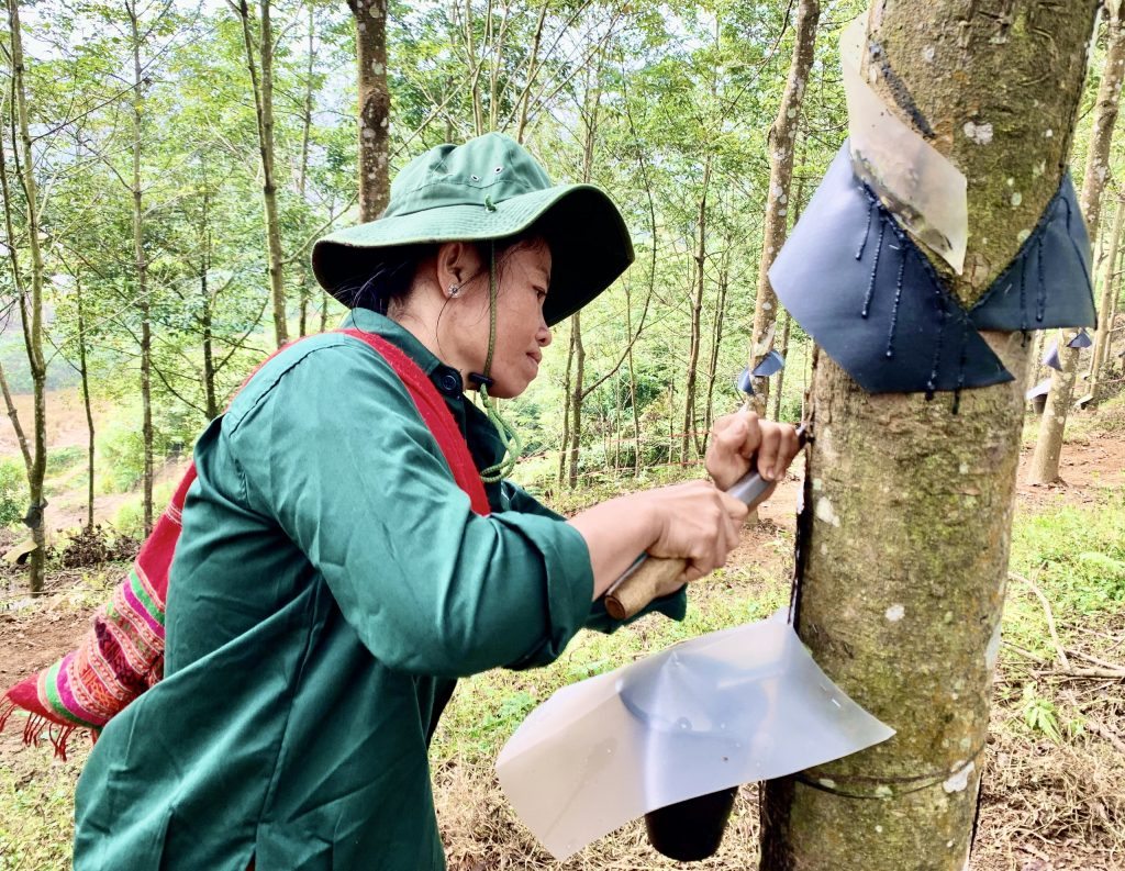 Các đơn vị miền núi phía Bắc năm 2021: Dự báo có nhiều khởi sắc