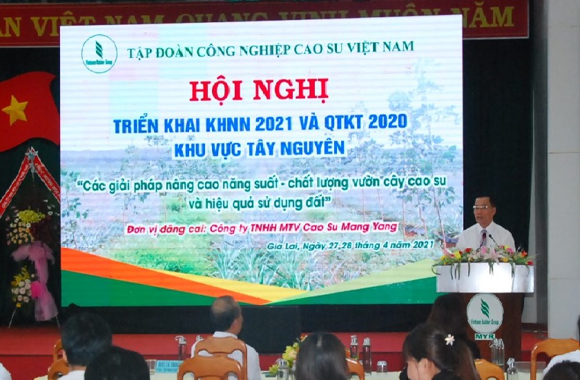 Nâng cao năng suất, chất lượng vườn cây khu vực Tây Nguyên