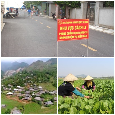 Chỉ đạo, điều hành của Chính phủ, Thủ tướng Chính phủ nổi bật tuần từ 25-29/1/2021