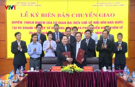 5 doanh nghiệp cuối cùng bàn giao về siêu ủy ban