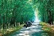 90 năm truyền thống trước cơ hội lịch sử