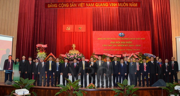 ĐẠI HỘI ĐẢNG BỘ TẬP ĐOÀN LẦN THỨ VIII, NHIỆM KỲ 2015-2020
