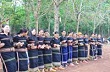 Đồng bào dân tộc Tây Nguyên đổi đời nhờ cây cao su