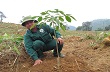 Giá cao su thiên nhiên trong tuần từ ngày 12/01 đến 16/01/2015