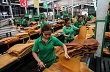 Thái Lan: Đảng Dân chủ thúc giục chính phủ hỗ trợ ngành cao su