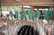 Thí sinh Hội thi tham quan Địa đạo Củ Chi