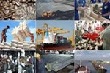 Bức tranh xuất khẩu của Việt Nam nửa đầu năm 2016