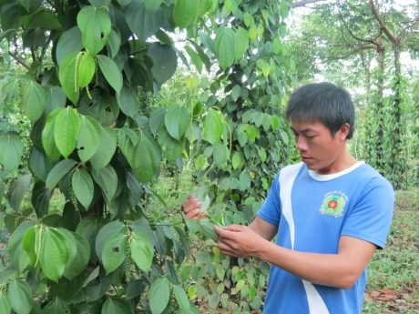 “Cả gan” lập nghiệp nơi vùng biên