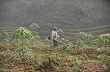Điều chỉnh quy định quản lý suất đầu tư nông nghiệp