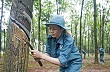 85 năm ngành cao su Việt Nam 