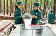 Chào mừng Đại hội Đảng bộ Công ty cổ phần cao su Đồng Phú lần thứ XII, nhiệm kỳ 2015-2020 : Học và làm theo bác ở cao su Đồng Phú