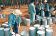 Giá cao su Tocom tăng trở lại
