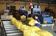 Giá cao su Tocom dao động mạnh trước cuộc họp của FED