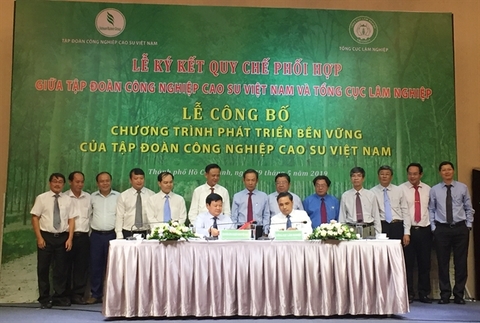 VRG công bố chương trình phát triển bền vững