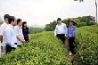 Nhân rộng mô hình liên kết để đẩy mạnh tái cơ cấu nông nghiệp