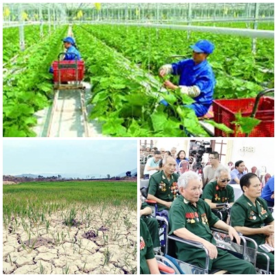 Chỉ đạo, điều hành của Chính phủ, Thủ tướng Chính phủ nổi bật tháng 7/2019