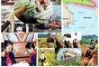 Chỉ đạo, điều hành của Chính phủ, Thủ tướng Chính phủ nổi bật tháng 7/2016