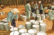 Thị trường Cao su: Tin ngày 11/06/2013