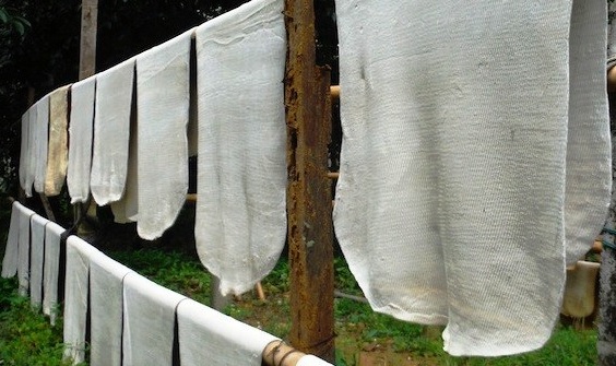 Sản xuất cao su Ấn Độ giảm 16% trong tháng 2, ngành sản xuất lốp xe kêu gọi nới lỏng nhập khẩu 
