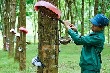 Cao su 'nhích' giá cuối vụ