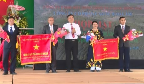 Cao su Lai Châu 2 chuẩn bị khai thác gần 600 ha