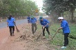 Thanh niên ngành cao su chung sức cùng đơn vị vượt khó