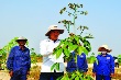 Khẳng định sức trẻ và tinh thần “Đâu khó có thanh niên”