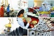 Thủ tướng chỉ thị đẩy mạnh sắp xếp, đổi mới DNNN