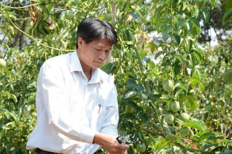 Kinh nghiệm làm giàu của cựu cán bộ Đoàn