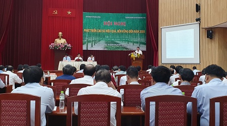Phát triển bền vững cao su Việt Nam: ‘Đừng thấy khó mà bỏ’