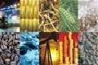 Giá hàng hóa lao dốc: lỗi không phải ở TQ