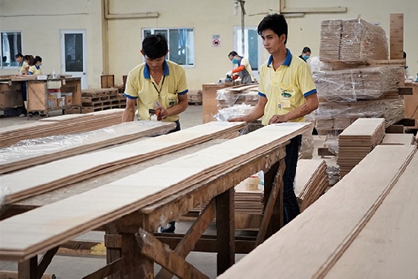 Mỹ tiến hành điều tra lẩn tránh thuế đối với gỗ dán Việt Nam?