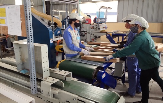 Tuyên Quang đưa sản phẩm gỗ rừng trồng ra thị trường thế giới