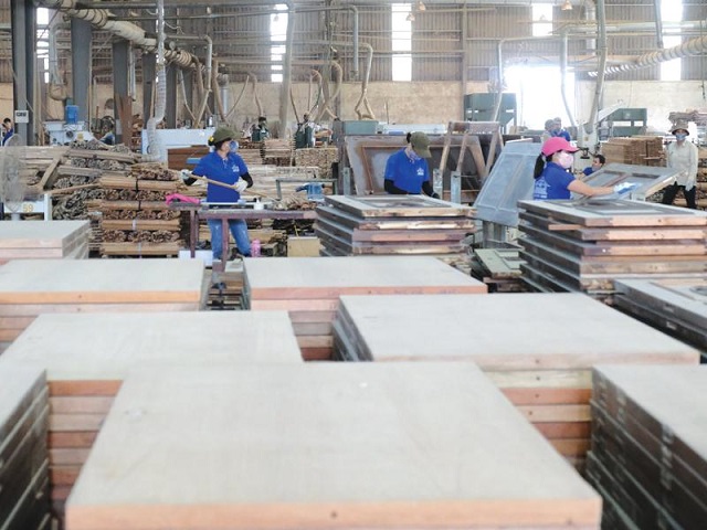 Ngành gỗ thận trọng với gian lận xuất xứ