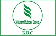 Cty Krông Búk tái canh 431 ha cao su