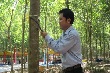 Cao su Dầu Tiếng: Triệt để thực hành tiết kiệm, đảm bảo tốt SXKD