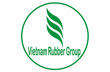 VRG  sẽ trồng cao su ở Quảng Bình